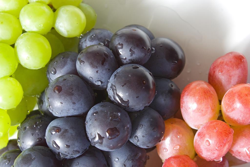 Product image - A fruit that grows in compact clusters is grapes. When eaten raw or in juice, it has a white or purple flesh with a pleasant flavor. Preserves can also be made with them. It is thought to be antioxidant and anti-carcinogenic and contains a variety of minerals and vitamins. The season of Egyptian fresh grapes started, If you are interested, please send me a request to send you a quotation with a competitive price.
